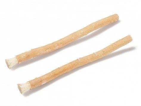 miswak-toothbrush-authentic-plant-toothbrushes