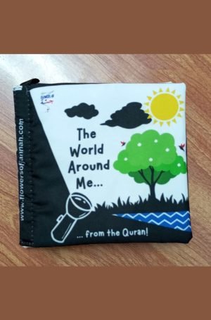 The World Around Me (Soft Cloth Book)