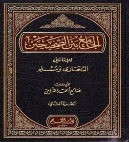 الجامع بین الصحیحین  5-جلد